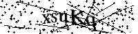 Por favor escriba las letras y números del CAPTCHA a continuación