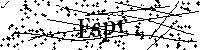 Por favor escriba las letras y números del CAPTCHA a continuación