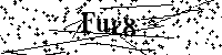 Por favor escriba las letras y números del CAPTCHA a continuación