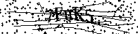 Por favor escriba las letras y números del CAPTCHA a continuación