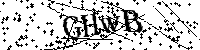 Por favor escriba las letras y números del CAPTCHA a continuación