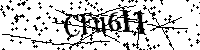 Por favor escriba las letras y números del CAPTCHA a continuación