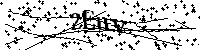 Por favor escriba las letras y números del CAPTCHA a continuación