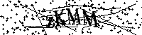 Por favor escriba las letras y números del CAPTCHA a continuación