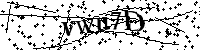 Por favor escriba las letras y números del CAPTCHA a continuación
