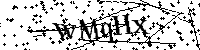 Por favor escriba las letras y números del CAPTCHA a continuación