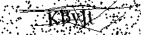Por favor escriba las letras y números del CAPTCHA a continuación