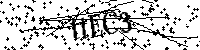 Por favor escriba las letras y números del CAPTCHA a continuación