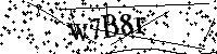 Por favor escriba las letras y números del CAPTCHA a continuación