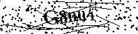 Por favor escriba las letras y números del CAPTCHA a continuación