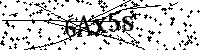 Por favor escriba las letras y números del CAPTCHA a continuación