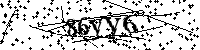Por favor escriba las letras y números del CAPTCHA a continuación