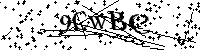 Por favor escriba las letras y números del CAPTCHA a continuación
