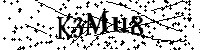 Por favor escriba las letras y números del CAPTCHA a continuación