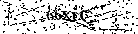 Por favor escriba las letras y números del CAPTCHA a continuación