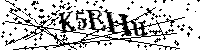 Por favor escriba las letras y números del CAPTCHA a continuación