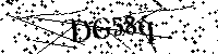 Por favor escriba las letras y números del CAPTCHA a continuación