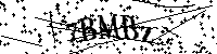 Por favor escriba las letras y números del CAPTCHA a continuación