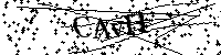 Por favor escriba las letras y números del CAPTCHA a continuación