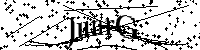 Por favor escriba las letras y números del CAPTCHA a continuación
