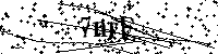 Por favor escriba las letras y números del CAPTCHA a continuación