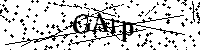 Por favor escriba las letras y números del CAPTCHA a continuación