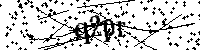 Por favor escriba las letras y números del CAPTCHA a continuación