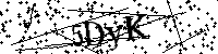 Por favor escriba las letras y números del CAPTCHA a continuación