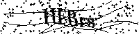 Por favor escriba las letras y números del CAPTCHA a continuación