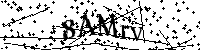 Por favor escriba las letras y números del CAPTCHA a continuación