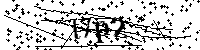 Por favor escriba las letras y números del CAPTCHA a continuación