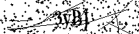 Por favor escriba las letras y números del CAPTCHA a continuación