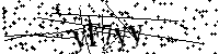 Por favor escriba las letras y números del CAPTCHA a continuación
