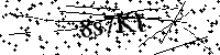 Por favor escriba las letras y números del CAPTCHA a continuación