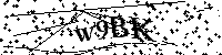 Por favor escriba las letras y números del CAPTCHA a continuación