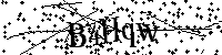 Por favor escriba las letras y números del CAPTCHA a continuación