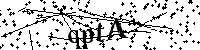 Por favor escriba las letras y números del CAPTCHA a continuación