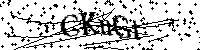 Por favor escriba las letras y números del CAPTCHA a continuación