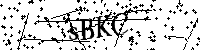 Por favor escriba las letras y números del CAPTCHA a continuación