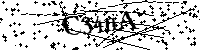 Por favor escriba las letras y números del CAPTCHA a continuación