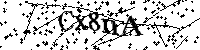 Por favor escriba las letras y números del CAPTCHA a continuación