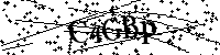 Por favor escriba las letras y números del CAPTCHA a continuación