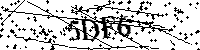 Por favor escriba las letras y números del CAPTCHA a continuación