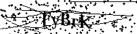 Por favor escriba las letras y números del CAPTCHA a continuación