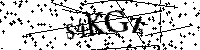 Por favor escriba las letras y números del CAPTCHA a continuación